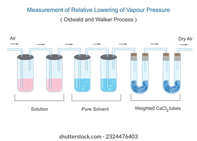 Measurement of relative lowering of vapour pressure. Ostwald and walker process. vapour pressure. chemistry illustration.