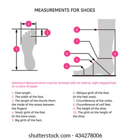 Measurements for the manufacture of footwear. The foot profile and top view. Infographics