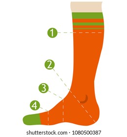 Measurements for socks. Vector illustration of sock size flat.