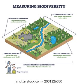 Measuring biodiversity in ecosystem or species at one region outline diagram. Labeled educational biology richness expertise and variety control vector illustration. Unique nature protection and study