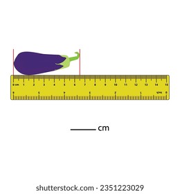 Measuring length in centimeters  brinjal with the ruler. Education developing worksheet. Game for kids. Puzzle for children. Vector illustration. cartoon style