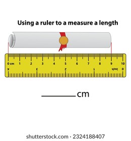 Measuring length in centimeters with the ruler. Education developing worksheet. Game for kids. Puzzle for children. Vector illustration. cartoon style.