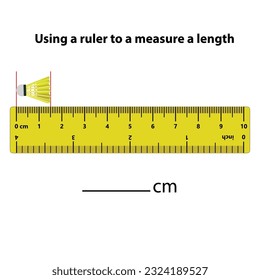 Measuring length in centimeters with the ruler. Education developing worksheet. Game for kids. Puzzle for children. Vector illustration. cartoon style.