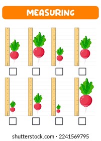 Measuring length  with ruler. Education developing worksheet. Game for kids.Vector illustration. practice sheets.Radish measurement in inches