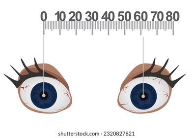 Measuring pupil distance on eyes. vector