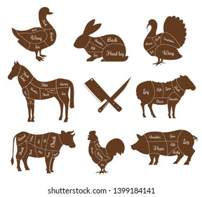 Meat animal body parts isolated livestock pets