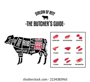 Meat and Beef cuts. Diagrams for butcher shop. Scheme of beef. Vector illustration. Beef butcher's guide. Used for cooking steak and roast - t-bone, rib eye, porterhouse, tomahawk, etc.