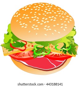 Meat burger, isolated on white background. Vector illustration