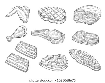 Meat and chicken sketch icons. Vector isolated symbols of fresh or grill chicken leg and wing, pork bacon ham and beef steak sirloin or tenderloin brisket and T-bone steak for barbecue or butcher shop