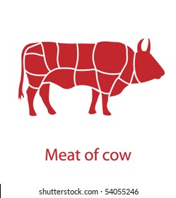 Meat of cow