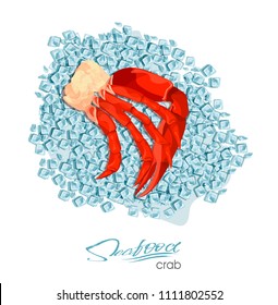 Meat crab on ice cubes in cartoon style. Seafood product design. Inhabitant wildlife of underwater world. Edible sea food. Vector illustration