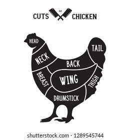 Meat cuts - chicken. Diagrams for butcher shop. Scheme of chicken. Animal silhouette chicken. Guide for cutting. Vintage vector illustration.