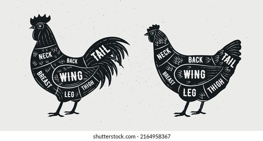 Meat Cuts of Chicken set. Butcher Poultry Diagram, scheme, chart. Rooster and Hen sketch silhouette isolated on white background. Vintage Poster for butcher shop, barbecue. Vector illustration