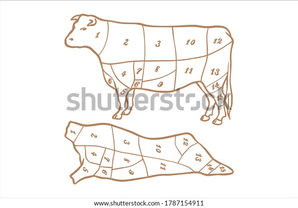 Meat cuts diagram -
Beef