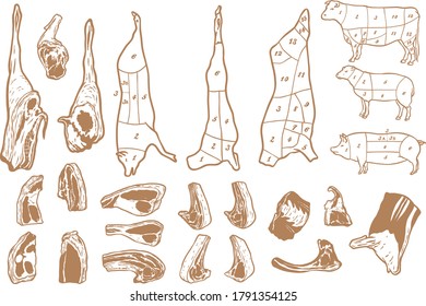 Meat cuts diagram - Beef, pork and mutton