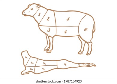 Meat cuts diagram - mutton