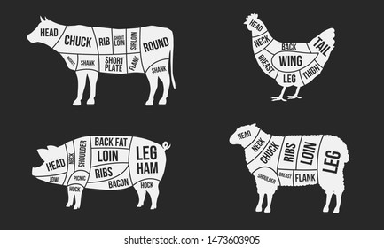 Meat cuts diagrams. Beef, pork, mutton and chicken cuts of meat. Vintage poster for groceries, butcher shop and meat store. Vector illustration