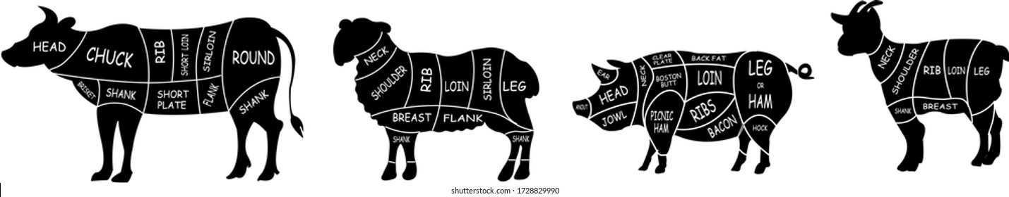 Meat Cuts Diagrams. Beef, Pork, Mutton And Goat Of Meat. Vintage Poster For Groceries, Butcher Shop And Meat Store. Vector Illustration.