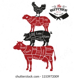 Meat Cuts. Diagrams For Butcher Shop. Vector Illustration