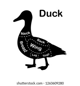 Meat cuts - duck. Diagrams for butcher shop. Scheme of duck. Animal silhouette duck. Guide for cutting. Vector illustration.