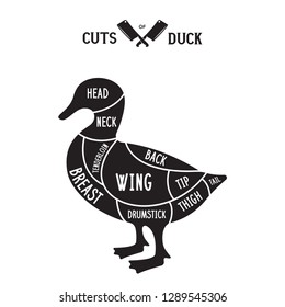 22,340 Duck cuts Images, Stock Photos & Vectors | Shutterstock