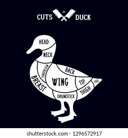 Meat cuts - duck. Diagrams for butcher shop. Scheme of duck. Animal silhouette duck. Guide for cutting. Vintage vector illustration.