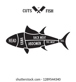 Meat cuts - fish. Diagrams for butcher shop. Scheme of fish. Animal silhouette fish. Guide for cutting. Vintage vector illustration.