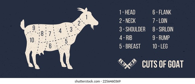 Meat cuts. Cuts of Goat. Goat silhouette isolated on dark background. Vintage Poster for butcher shop. Retro diagram. Vector illustration