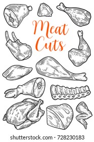 Meat cuts, parts, chop hand drawn butchery vector set. Engraved meat collection chalkboard.