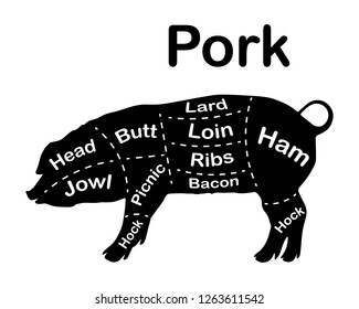 Meat cuts - pork. Diagrams for butcher shop. Scheme of pork. Animal silhouette pork. Guide for cutting. Vector illustration.