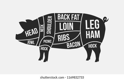 Meat cuts. Cuts of pork. Pig silhouette isolated on white background. Vintage Poster for butcher shop. Retro diagram. Vector illustration