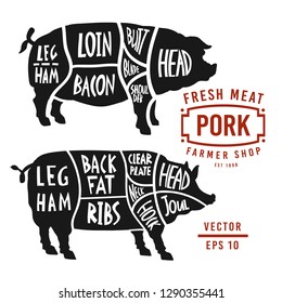 Meat cuts of pork. Vector pig silhouette isolated on white background. Vintage Poster for butcher shop. Poster pork cutting scheme lettering in vintage style.