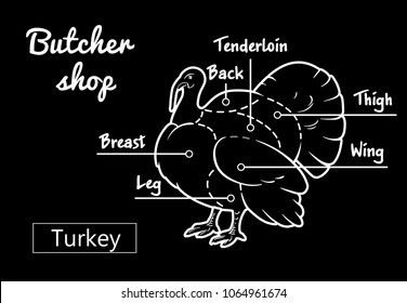 Meat cuts. Poster Butcher diagram and scheme - Turkey. Vintage hand-drawn black and white typographic with text on Dutch. Diagrams for butcher shop, design for restaurant or cafe. Vector Illustration