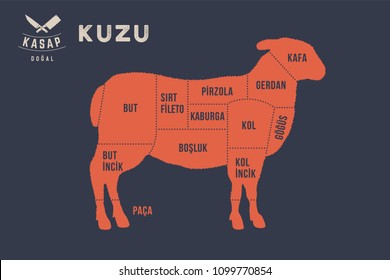 Meat cuts. Poster Butcher diagram and scheme - Kuzu, Lamb. Typographic with the names of parts of meat in Turkish. Graphic design for butcher shop, restaurant poster, banner, web. Vector Illustration