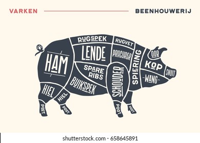 Meat cuts. Poster Butcher diagram and scheme - Pork. Vintage hand-drawn black and white typographic with text on Dutch. Diagrams for butcher shop, design for restaurant or cafe. Vector Illustration