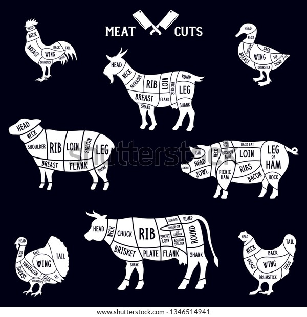 Meat Cuts Set Diagrams Butcher Shop Stock Vector (Royalty Free) 1346514941