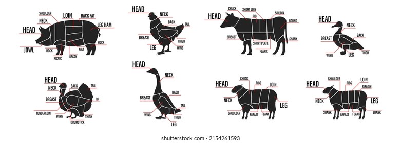 Meat cuts set. Diagrams Scheme of chicken, beef, pork etc. Animal silhouettes icon