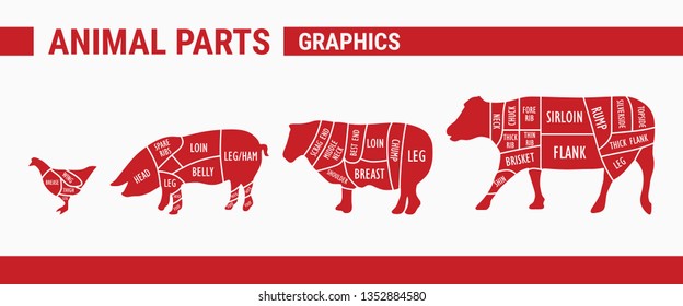 Meat cuts - Vector set a schematic illustrations of animals for butcher shop