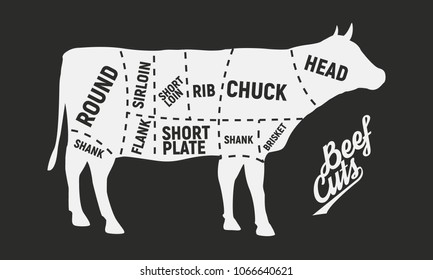 Meat cuts. Vintage Poster for butcher shop.  Retro diagram. Vector illustration