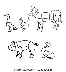 meat cutting diagram, pieces of beef, pork, bull, lamb, rabbit, hare, chicken, duck, goose and Turkey meat menu diagram. A set of symbols of meat, beef, pork, chicken, lamb. Meat menu template.