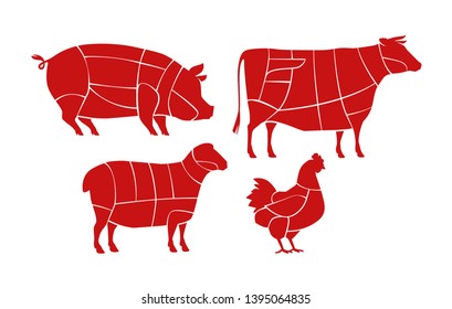 Meat cutting scheme. Butcher shop concept. Farm animals vector