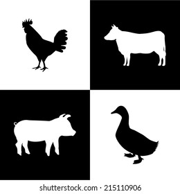 meat design over  white background vector illustration