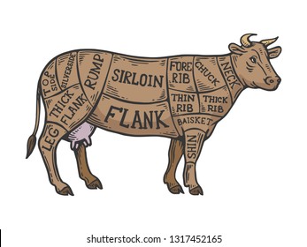 牛 部位 の画像 写真素材 ベクター画像 Shutterstock