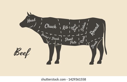 Meat diagram. Cuts of meat. Cow silhouette isolated on white background. Vintage poster for butcher shop, restaurant menu. Vector illustration