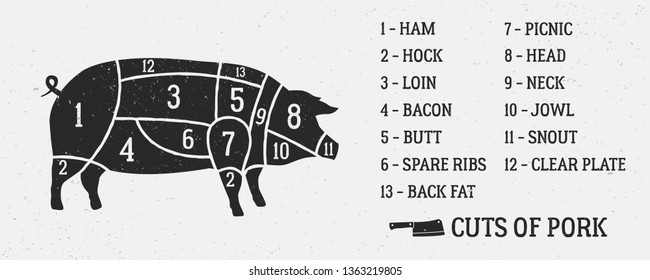 Meat diagram. Cuts of pork. Pig silhouette isolated on white background. Vintage Poster for butcher shop with grunge texture. Vector illustration