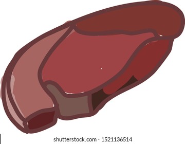 Meat filet, illustration, vector on white background.