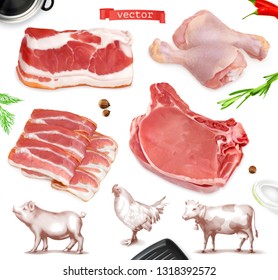 Meat food. Beef, pork, chicken legs. 3d vector realistic set