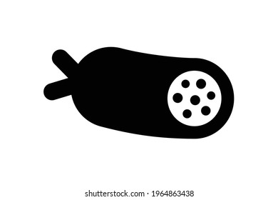 Meat Food sausage icon salami