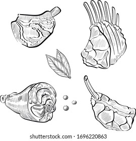 meat, food vector isolated design elements on white background . Concept for menu, cards , icon 