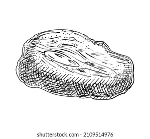 Meat hand drawing sketch. Piece of pork or beef. Vector illustration